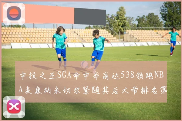 中投之王SGA命中率高达538领跑NBA麦康纳米切尔紧随其后大帝排名第七