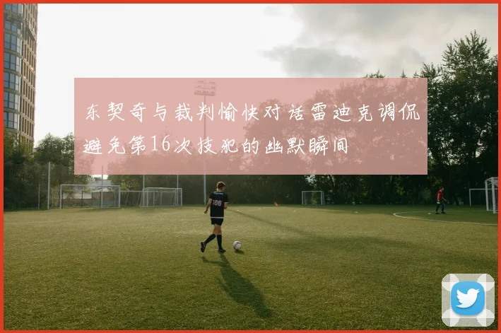 东契奇与裁判愉快对话雷迪克调侃避免第16次技犯的幽默瞬间