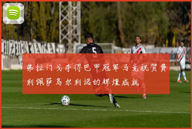 弗拉门戈夺得巴甲冠军马竞祝贺费利佩萨乌尔利诺的辉煌成就