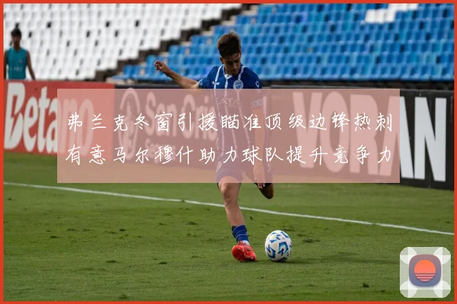 弗兰克冬窗引援瞄准顶级边锋热刺有意马尔穆什助力球队提升竞争力