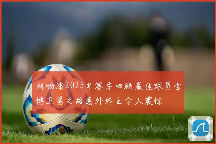 利物浦2025年赛季回顾最佳球员索博卫冕之路意外终止令人震惊