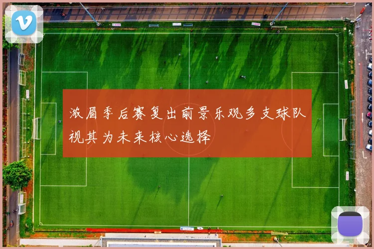 浓眉季后赛复出前景乐观多支球队视其为未来核心选择