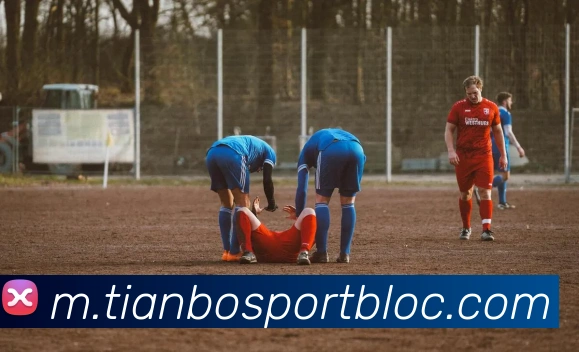 天博足球平台生态图